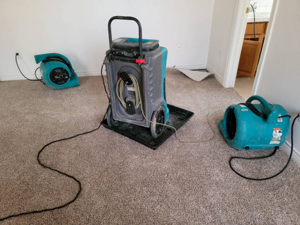 Best Basement water damage restoration  in Le Grand, CA