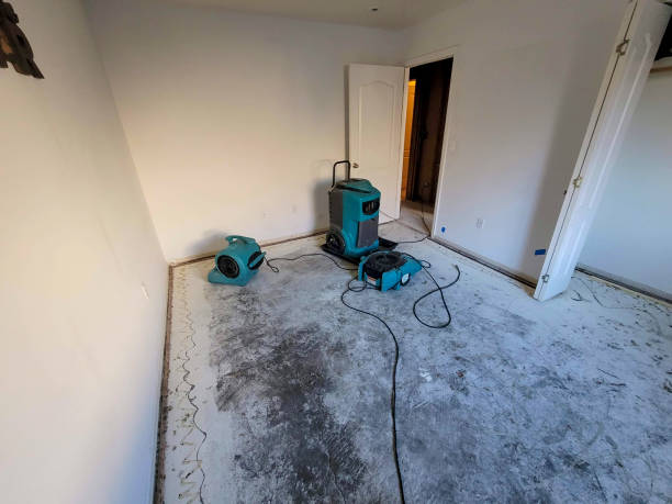 Best Mold removal after water damage  in Le Grand, CA